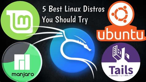 The 5 Best Linux Distros To Try In 2022 Pcsafetygeek Com