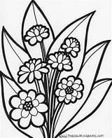 Flowers Coloring Pages Flower Fl sketch template