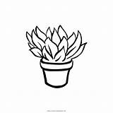 Succulent Coloring Ultracoloringpages Clipartmag sketch template