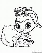 Colorare Disegni Bunny Conejito Cuccioli Bambini Lapin Principesse Kolorowanki Kolorowanka Reali Principessa Dibujos Colorkid Mascotas sketch template