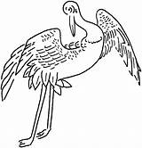 Heron Coloring Pages Flight sketch template