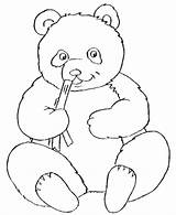 Panda Outline Clipart Coloring Pages Library Clip Bear sketch template
