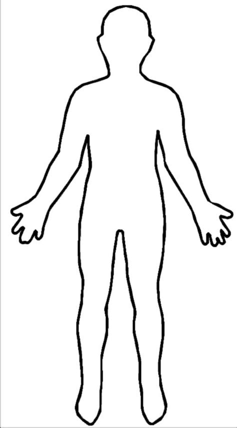 human body diagram blank clipart