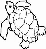 Turtle Sea Outline Coloring Clipart Pages Drawing Cartoon Line Clip Turtles Drawings Wallpaper Loggerhead Cliparts Ocean Color Silhouette Kids Colouring sketch template