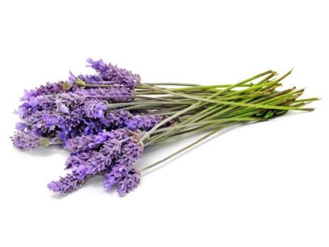 herb   month lavender food network healthy eats recipes ideas
