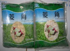 china water caltrop china water caltrop aquatic foods