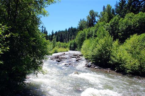 forest river stock image image  outdoors view scenic