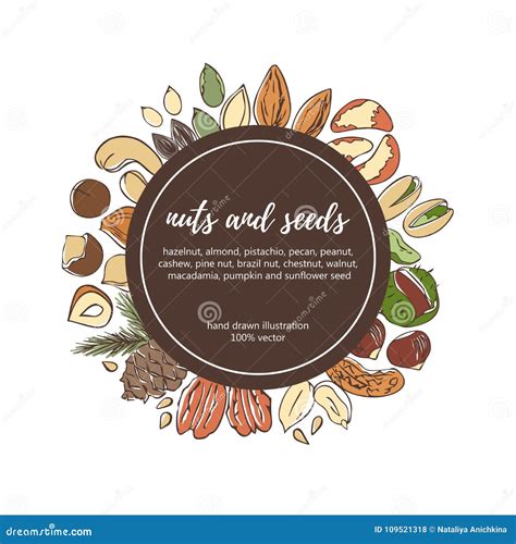 vector circle label template  doodle nuts  seeds stock vector illustration  isolated