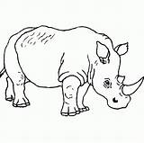 Animals Coloring Safari Pages Rhinoceros Wild Animal Color Cool Printable Gif Saf sketch template