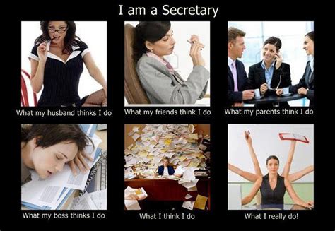 10 Best Admin Meme Images On Pinterest Administrative