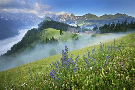 logar valley