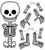 Esqueleto Esqueletos Recortables Recortable Móvil Piezas Daledetalles sketch template