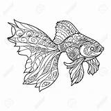 Mandala Colorare Fisch Pesce Volwassenen Zentangle Goldfish Ausdrucken Adulti Erwachsene Vissen Mandalas Gouden Kleurboek Ausmalbilder Stockvector Sogni Dla Ryby Kolorowanka sketch template