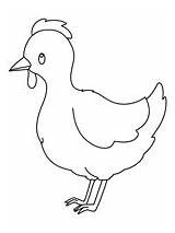 Hen sketch template