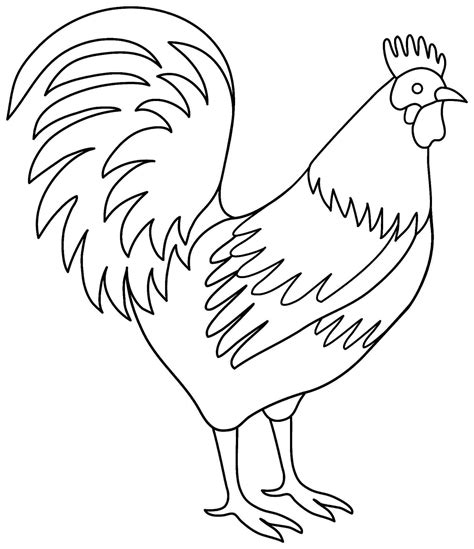 rooster coloring pages  adults  getcoloringscom  printable