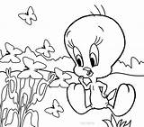 Tweety Coloring Malvorlagen Flowers Everfreecoloring sketch template