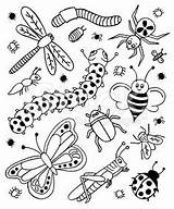 Coloring Insects Doodles sketch template