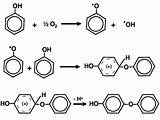 Coupling Oxidative Phenols Forming Dimers Presumably Solubility sketch template