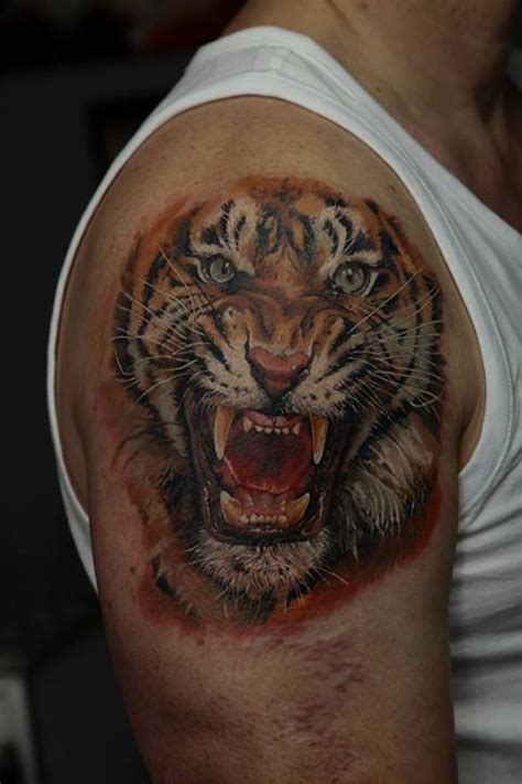 amazing tiger tattoos design incredible snaps