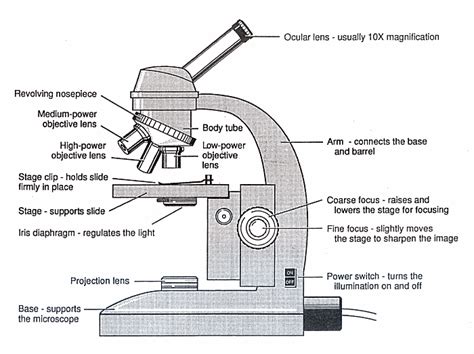 diagram   microscope guide    microscope