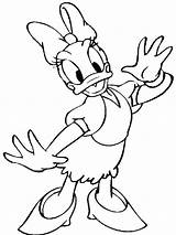 Daisy Coloring Pages Duck Getdrawings sketch template