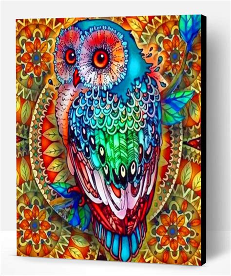 colorful mandala owl paint  numbers paint  numbers pro