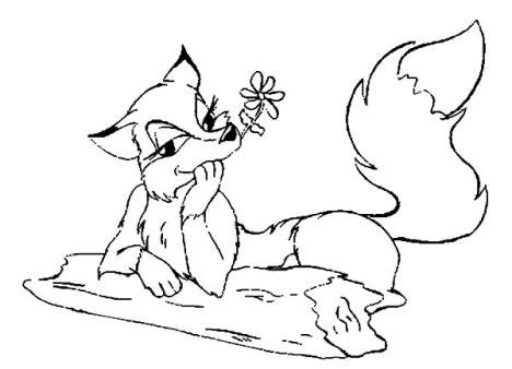 cute baby fox coloring pages part