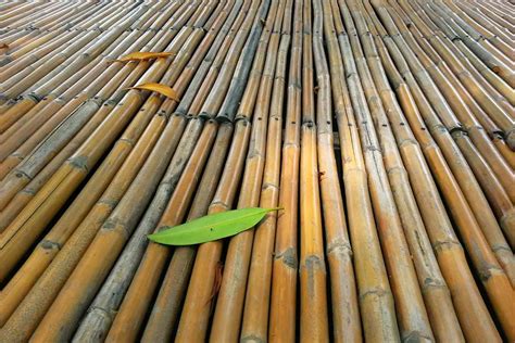 bamboo flooring cost   checkatrade