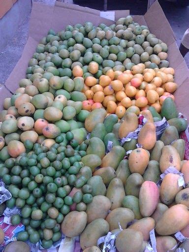 jamaican mangoes and plums tropical fruit recipes