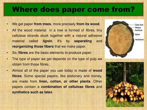 papermaking powerpoint    id