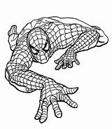 Spiderman Coloring Pages Kids Printable Spider Man Procoloring Marvel Climbing Cartoon Easy Sheets 4kids sketch template