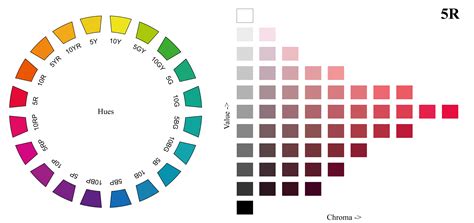 retencion alianza pano escala de colores  sus nombres libro guinness de record mundial esponja