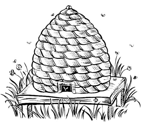 great images beehive coloring page coloring pages beehive