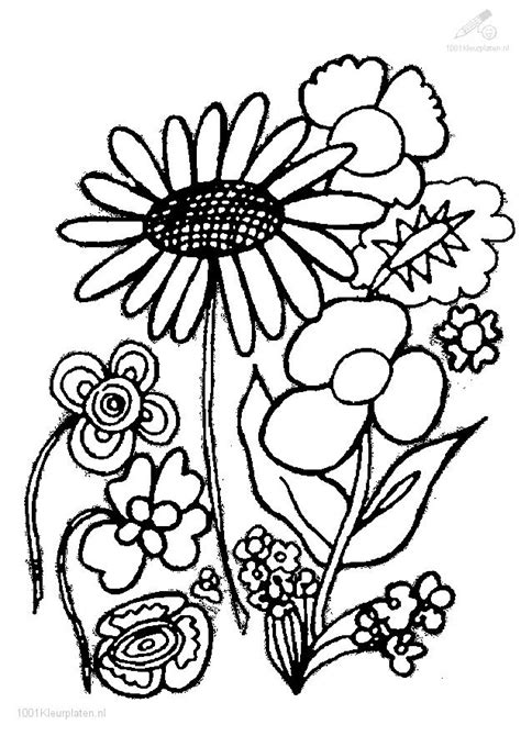 coloring pages trees plants  flowers  getcoloringscom