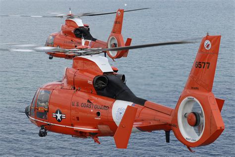 filetwo coast guard hh  dolphin helicoptersjpg wikipedia