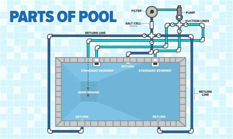 parts   pool  guide   pools anatomy basics