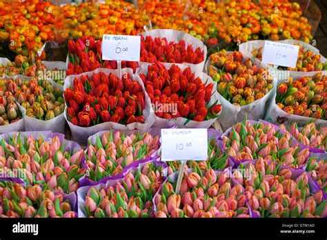 bloemenmarkt flower market amsterdam netherlands stock photo alamy