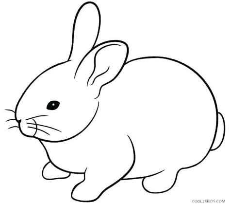 rabbits coloring pages coloring pages