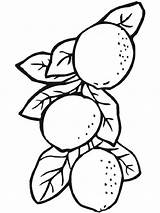 Coloring Lemon Pages Fruits Printable Color Recommended Kids sketch template
