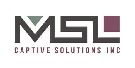 mslinc strategic risk solutions
