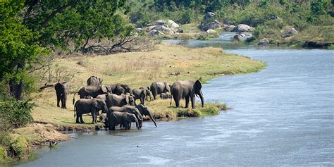 Best Of Malawi Malawi Wildlife Holiday Africa Trip Idea