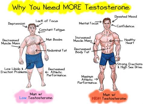 Testosterone Transformation Aagmiami