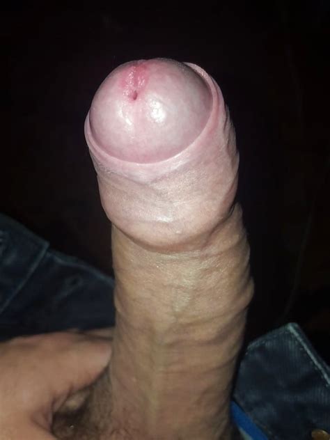my 8 inch white cock 12 pics xhamster