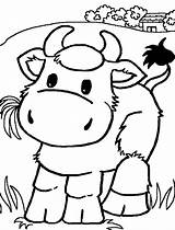 Coloring Pages Cows Print Animal sketch template