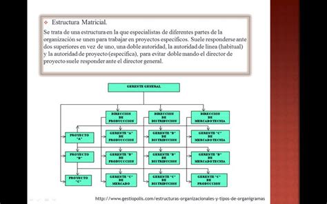 Tipos De Organigramas Estructura Matricial Estructura Matricial