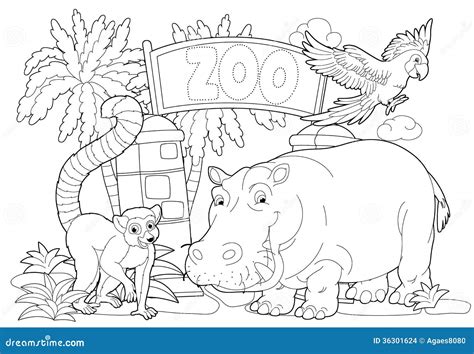 coloring page  zoo illustration   children stock