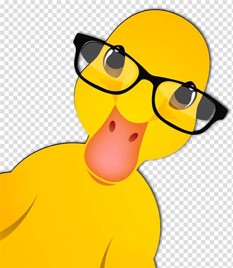 duck wearing sunglasses clipart   cliparts  images