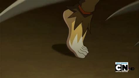 Anime Feet Cheetara Bonus