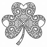 Shamrock Coloring Pages Adults Getdrawings sketch template