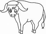 India Coloring Pages Yak Mammals Animals sketch template